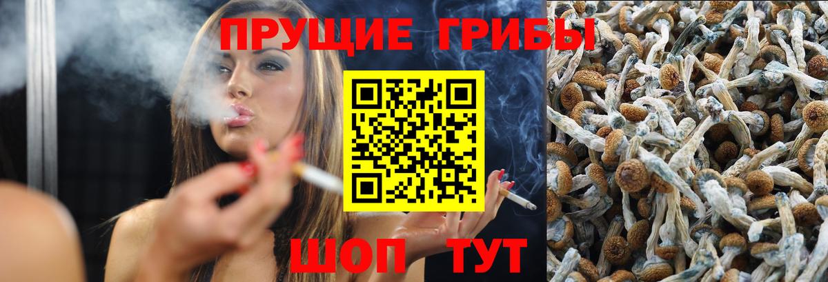 купить наркоту  Вход с VPN  Брянск  Псилоцибиновые грибы Magic Shrooms 